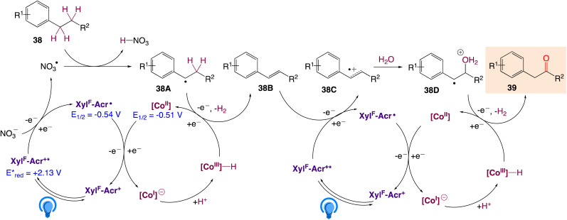 Scheme 25