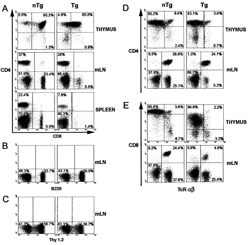 FIG. 6.