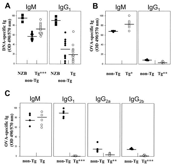 FIG. 10.