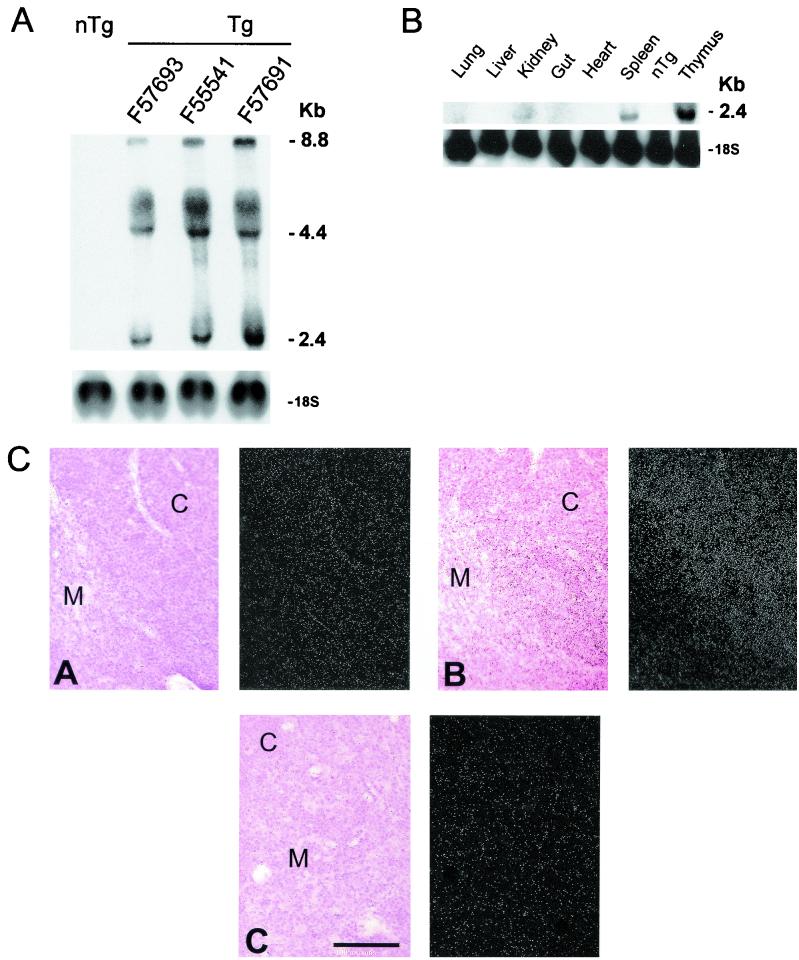 FIG. 2.