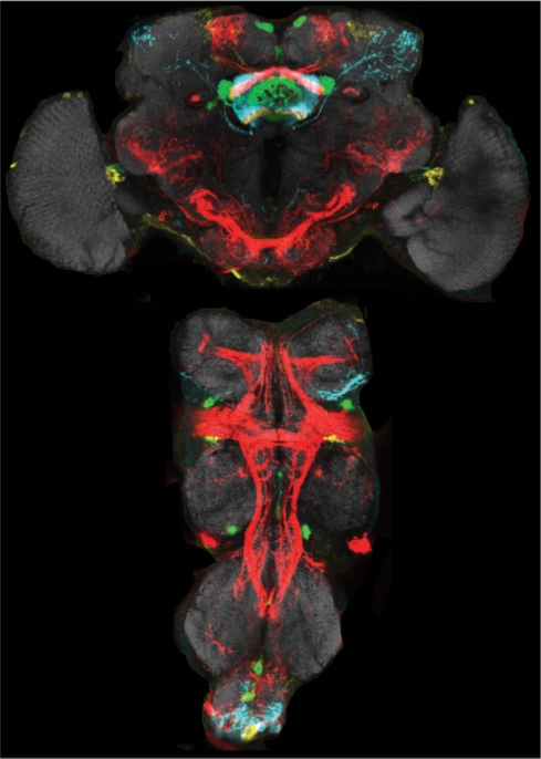 Fig. 3.