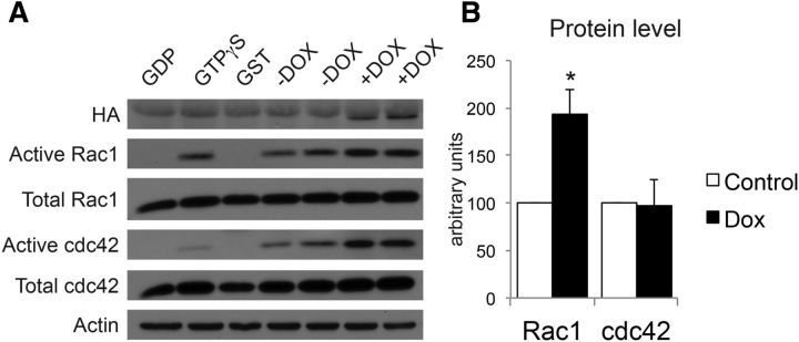 Figure 7.