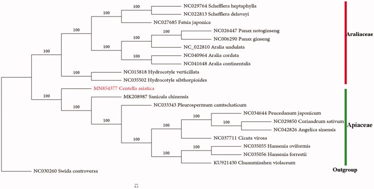 Figure 1.