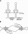 FIGURE 1.