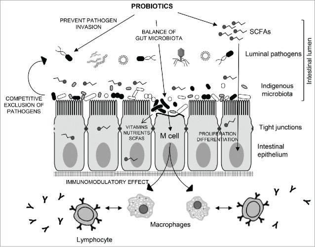 Figure 3.