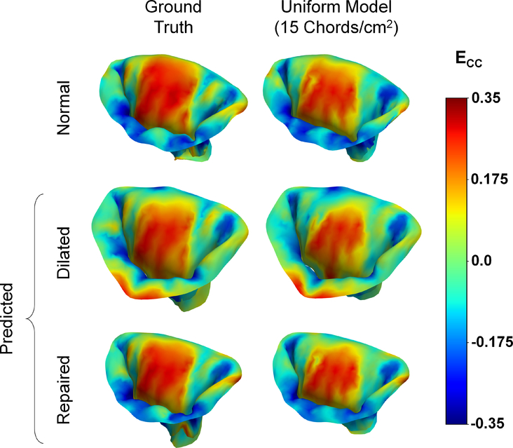 Figure 12: