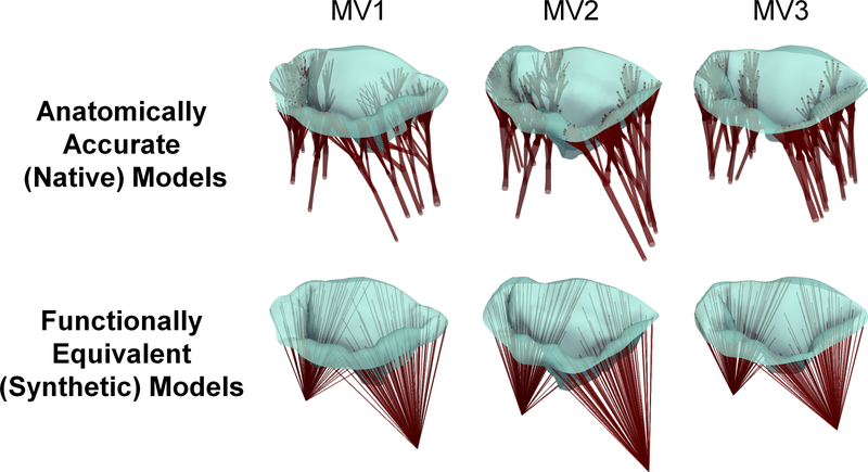 Figure 10: