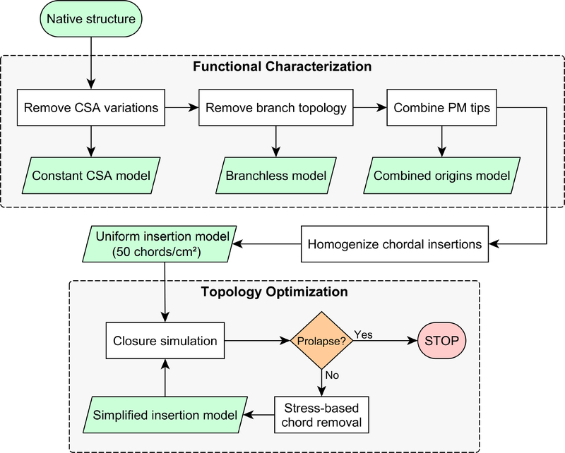 Figure 3: