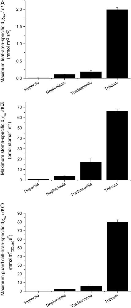 Figure 12.