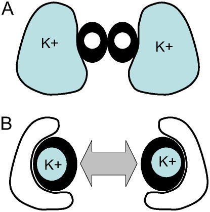 Figure 11.