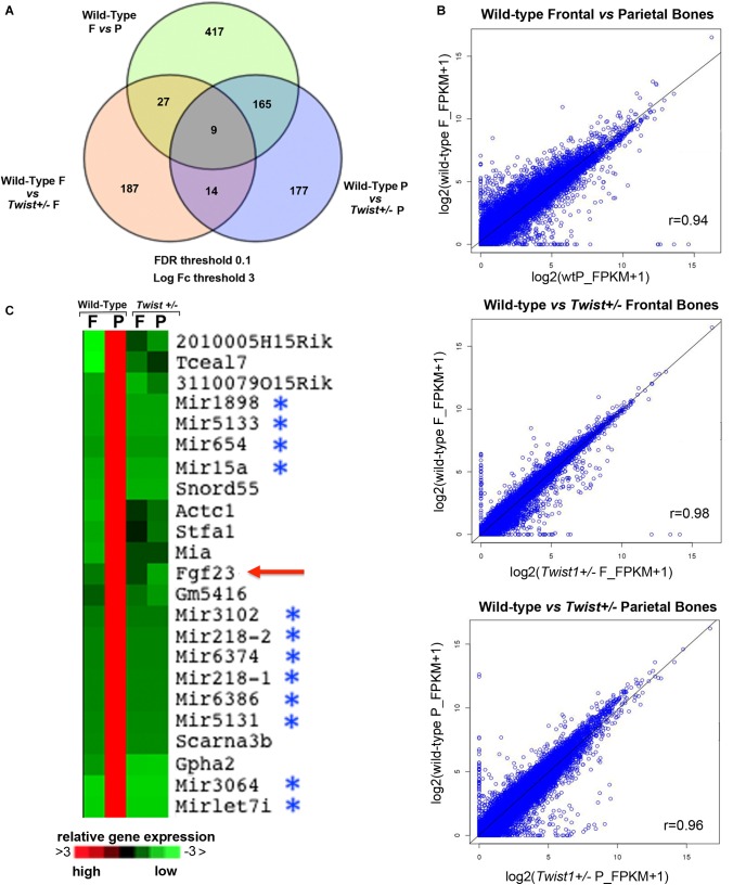 FIGURE 3