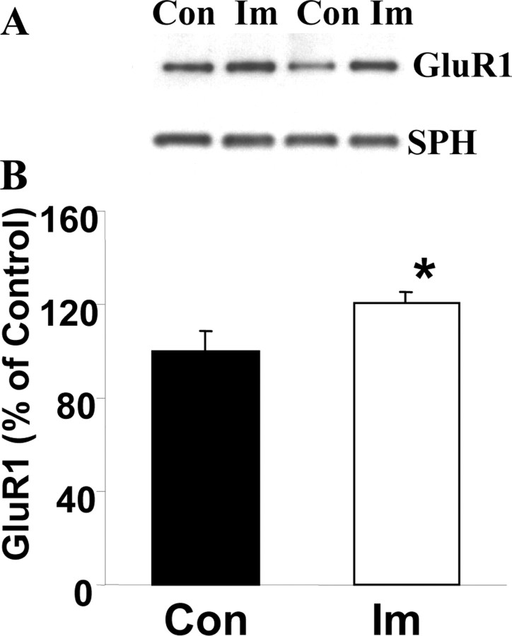 
Figure 10.
