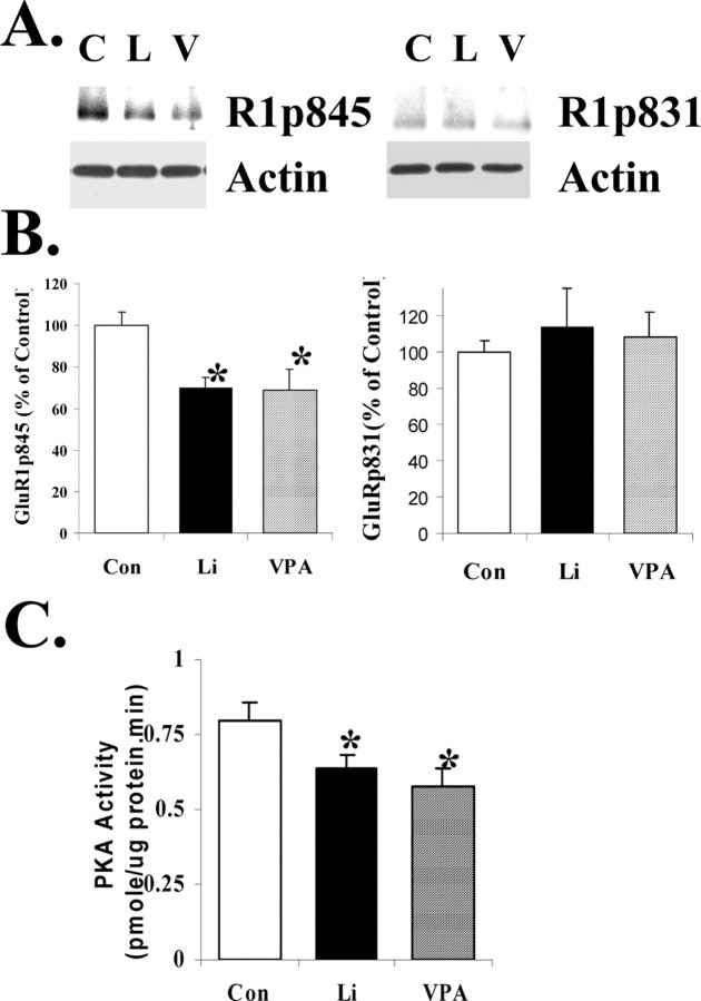 
Figure 9.
