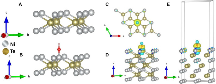 FIGURE 6