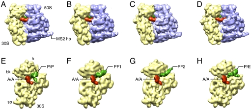 Fig. 1.