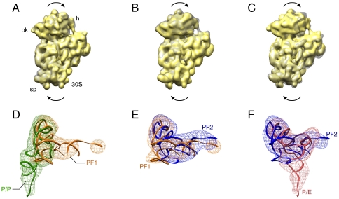 Fig. 2.