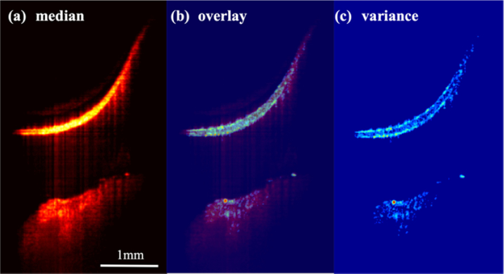 Fig. 9.