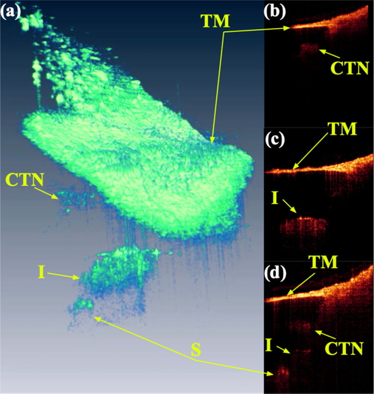 Fig. 7.