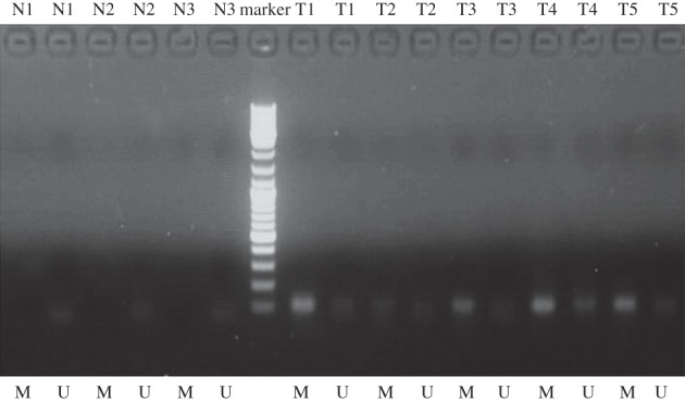 Figure 2.