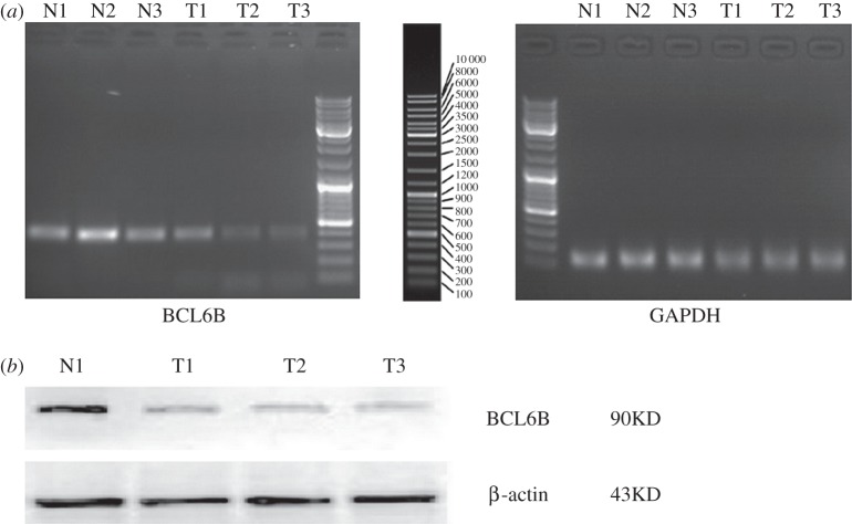 Figure 1.