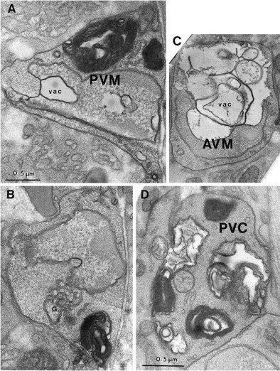 Fig. 6.