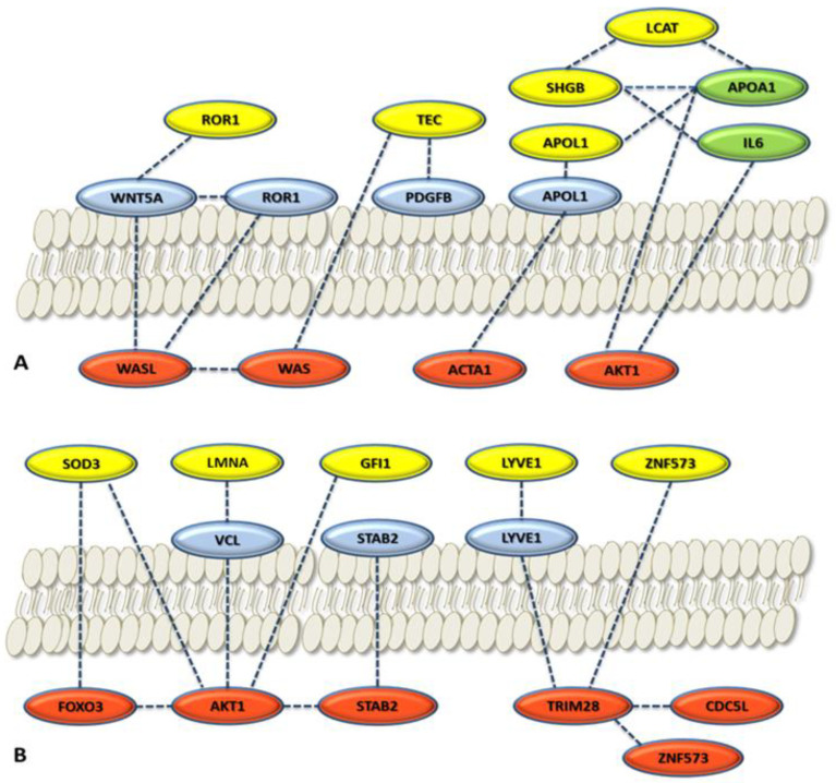 Figure 6