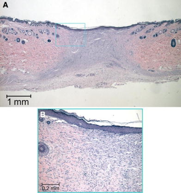 Fig. 9