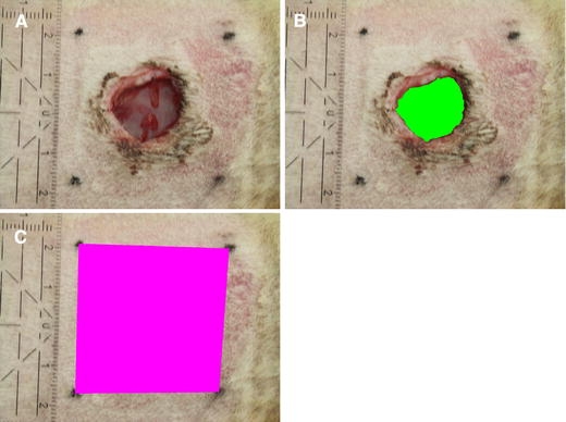 Fig. 2