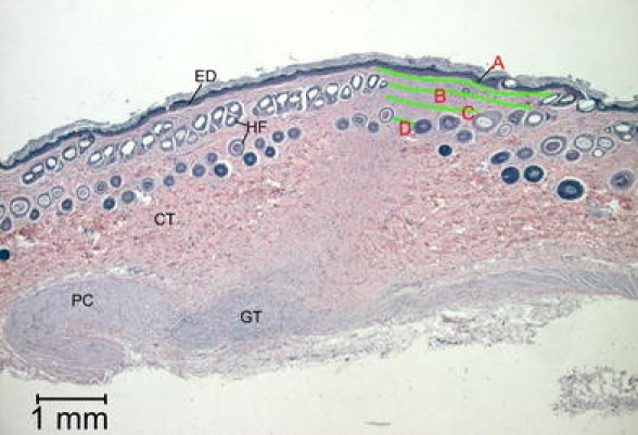 Fig. 4