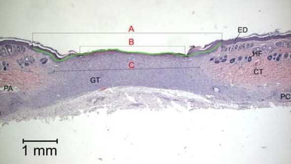 Fig. 3