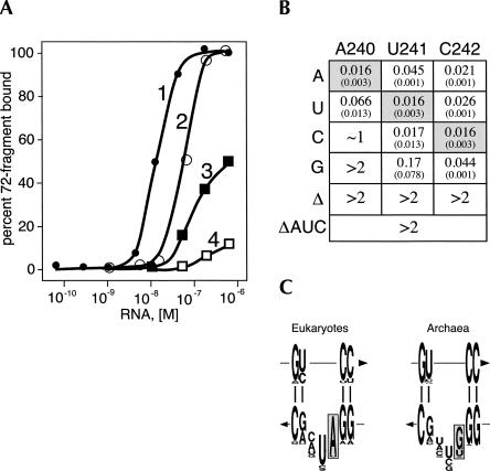 FIGURE 4.