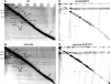 FIG. 2.