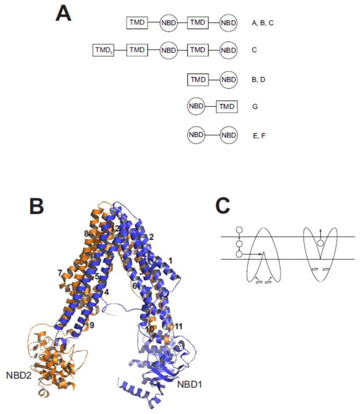 Fig. 1