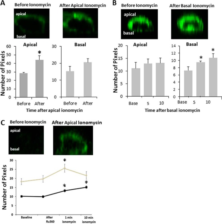 FIGURE 4.