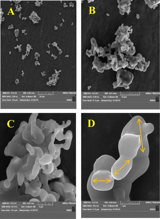 Fig. 2