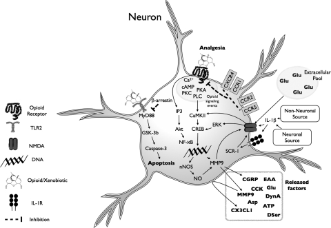 Fig. 5.