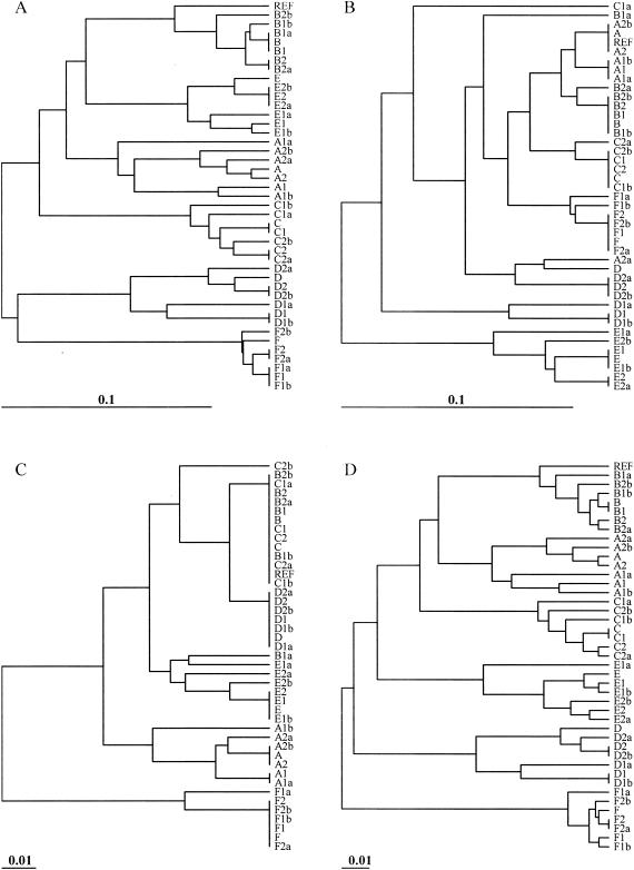 FIG. 7.