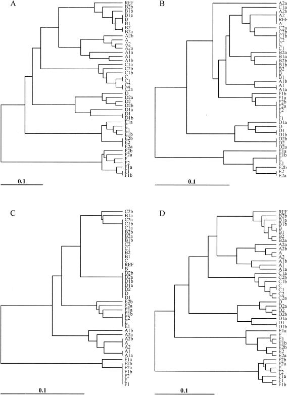 FIG. 6.