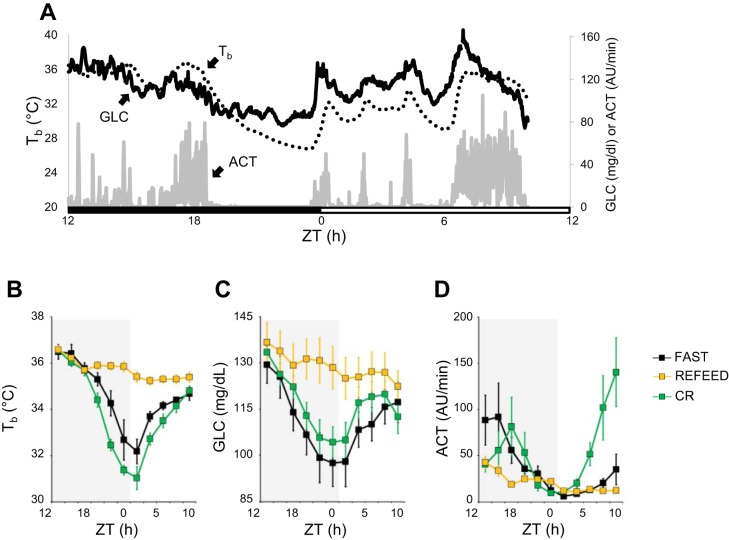 Fig. 3.