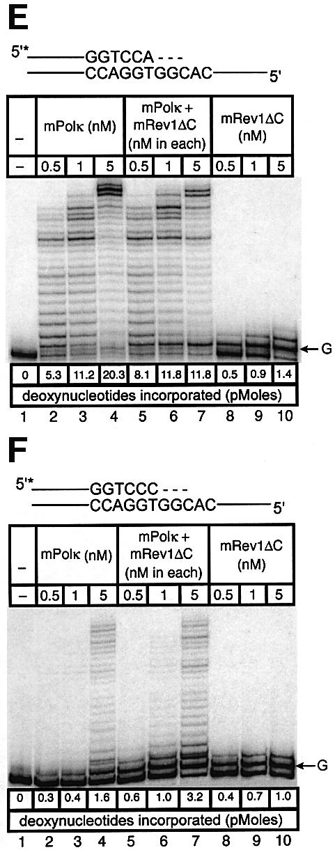 graphic file with name cdg626f6c.jpg