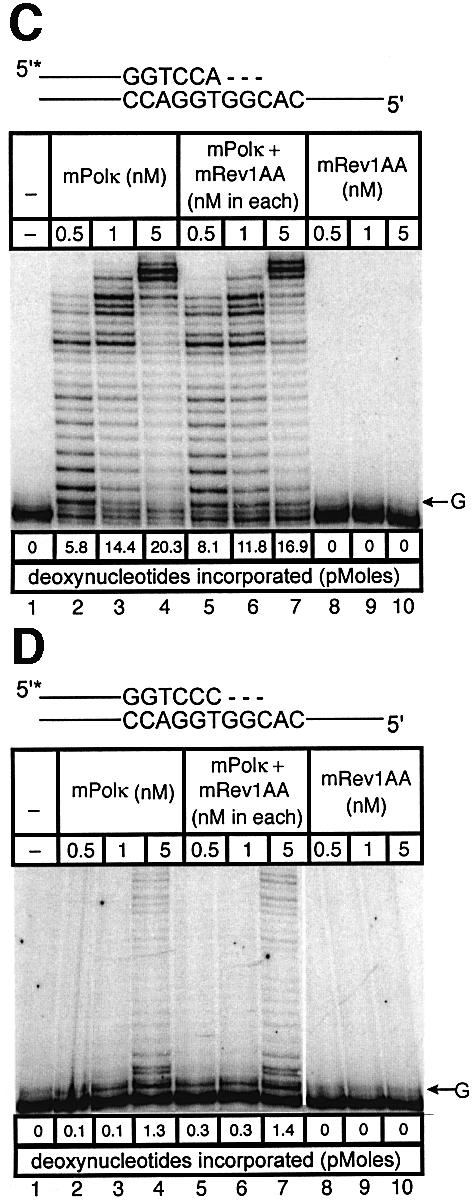 graphic file with name cdg626f6b.jpg