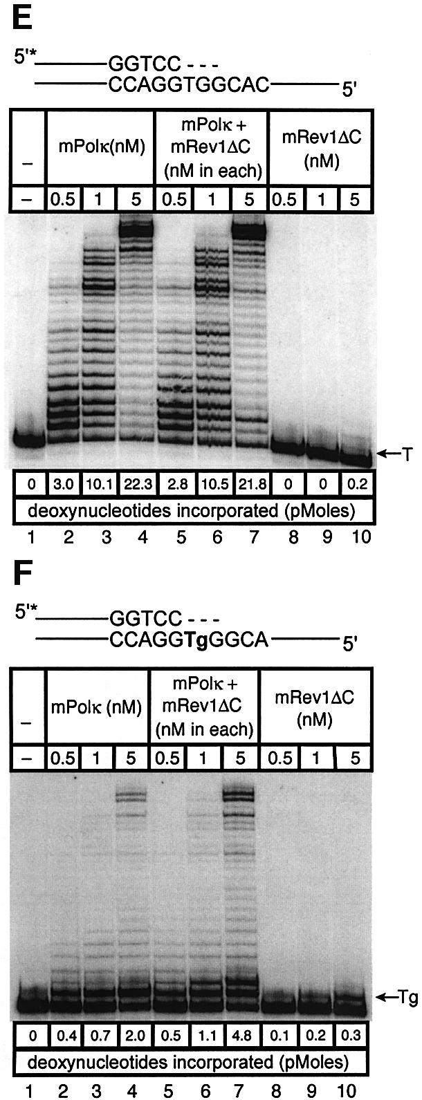 graphic file with name cdg626f5c.jpg