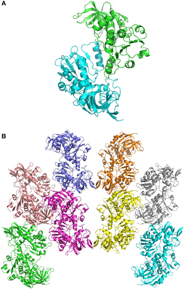 Figure 2