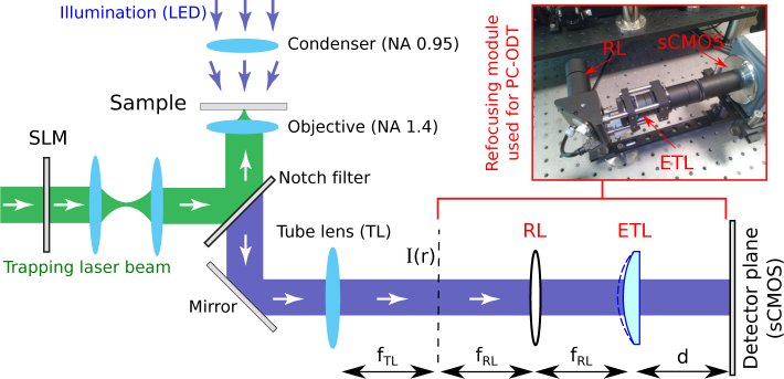 Fig. 4