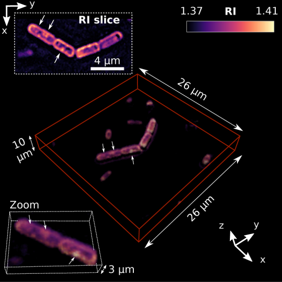 Fig. 1