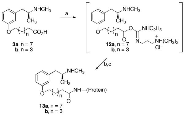 Scheme 2a