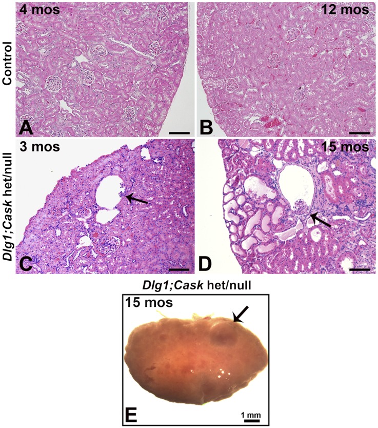 Figure 9.