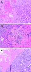Figure 5.