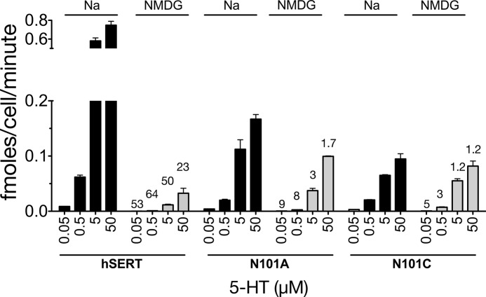 FIGURE 7.