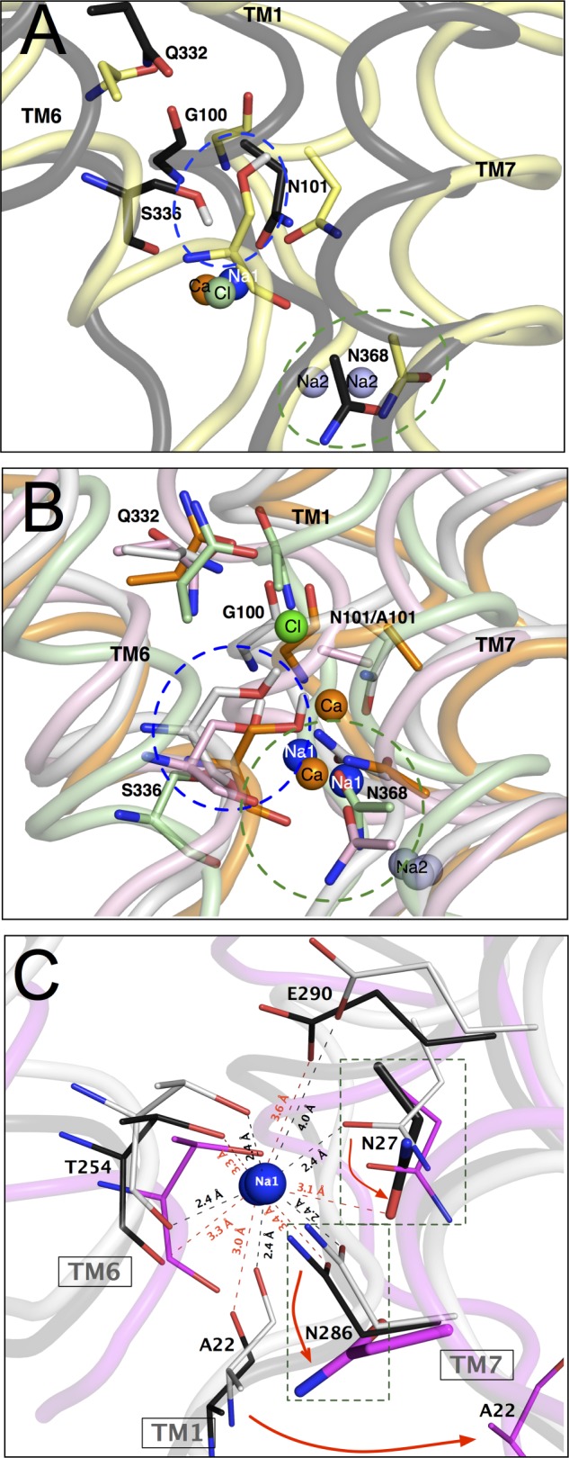 FIGURE 9.